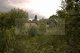 leipzig zoo-01_07_2011_zoo_allgemein_208